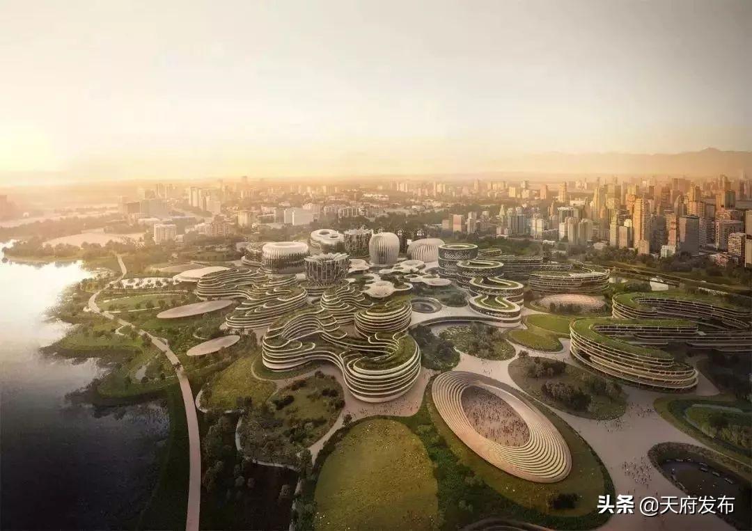 青龙天府新区探索自然美景之旅，最新消息与内心平和之旅的启程
