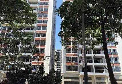 深圳鸿福花园最新动态更新