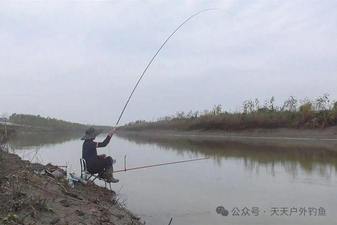 最新河流野钓鲫鱼视频,钓获人生,感受学习与变化的鼓舞之旅