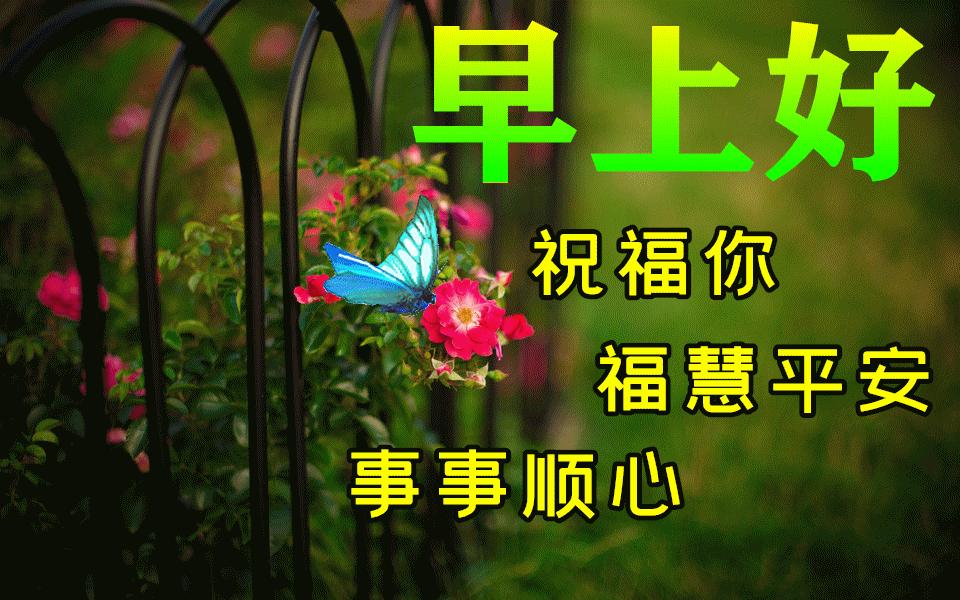 第1417页