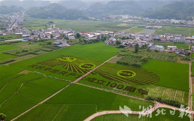 建始三里乡最新新闻报道