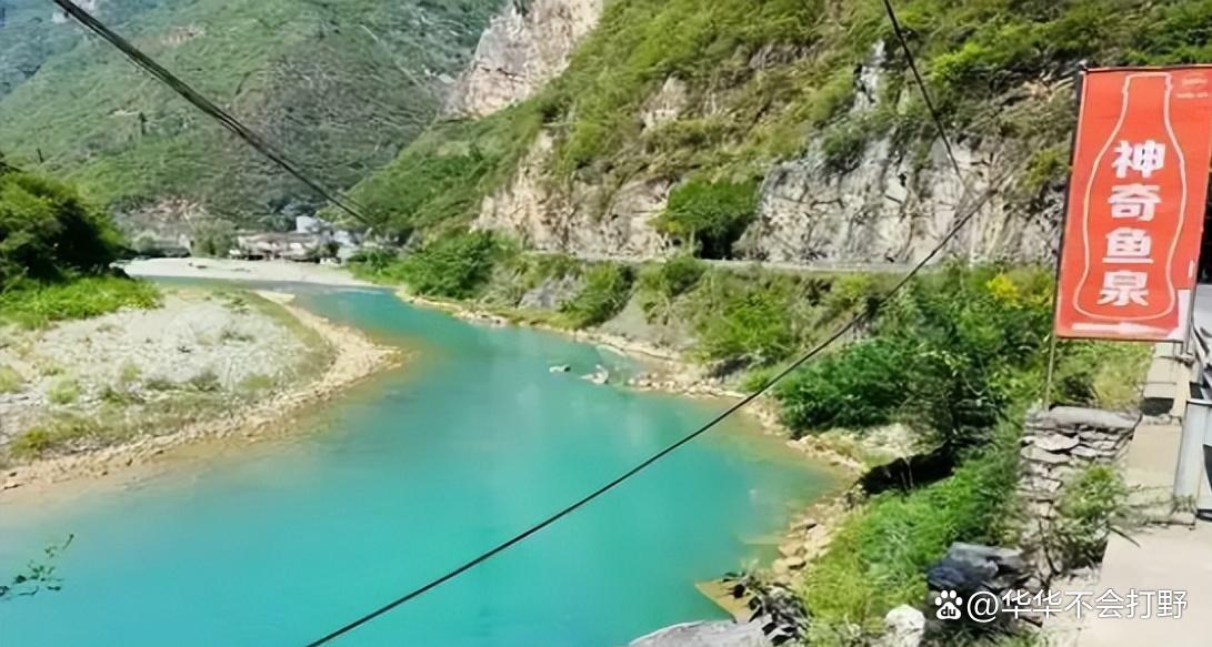鱼枣公路最新动态，小巷深处的惊喜发现