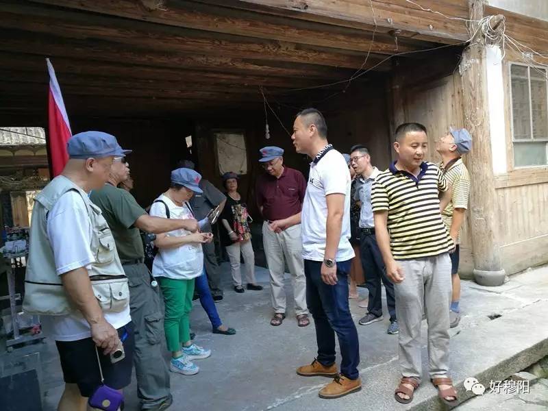 石家庄保税区最新动态，自然之旅的心灵觉醒之旅