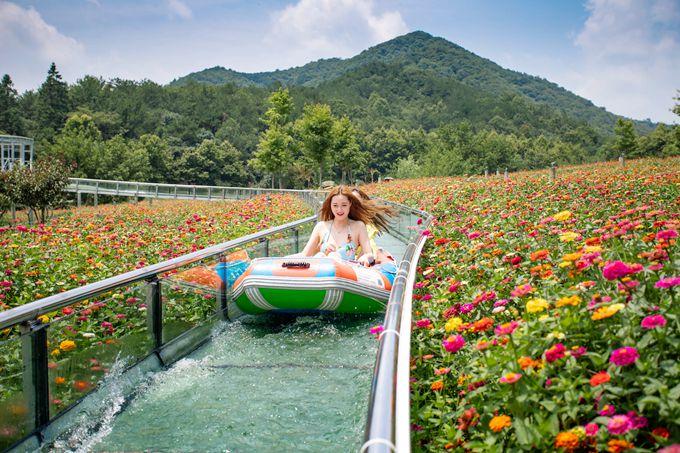 新晋高速公路最新动态，一路欢笑与陪伴的旅程