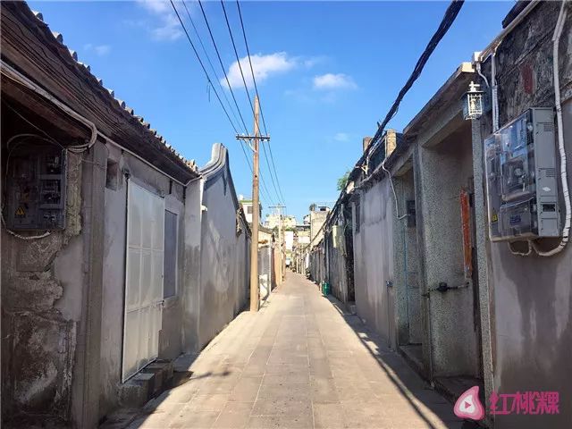 周祝公路改建最新动态及探秘小巷独特风情与隐藏瑰宝