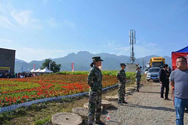 宁晋化工厂最新动态，自然美景中的探索之旅