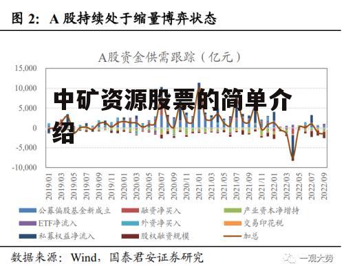 中矿资源股票最新动态，心灵与自然的奇妙之旅