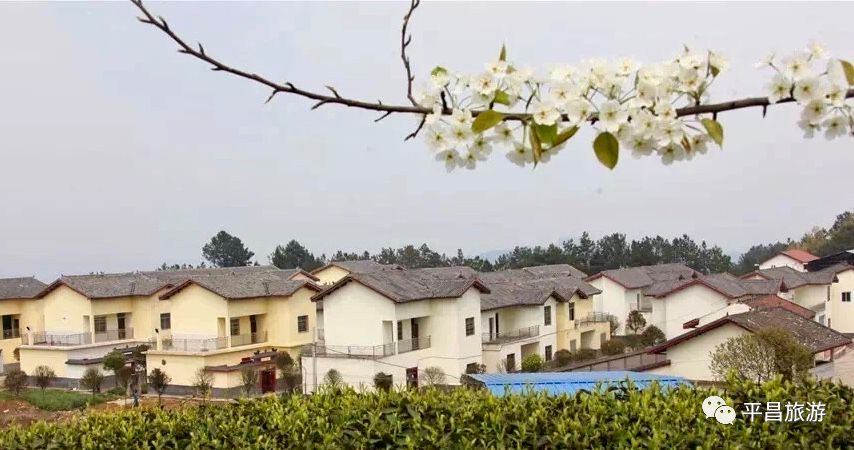 四川平昌设市最新动态，小镇蜕变与温馨故事展露新篇章