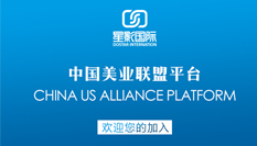 金华597人才网最新招聘信息揭秘