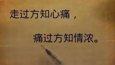 缘耒非诚勿拢，友情与陪伴的温馨故事