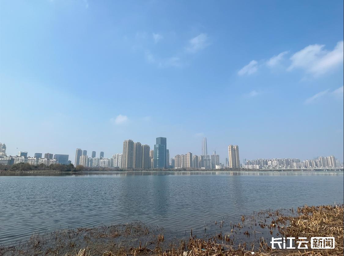 揭秘2024年环保局最新动态，任务指南与技能学习全解析