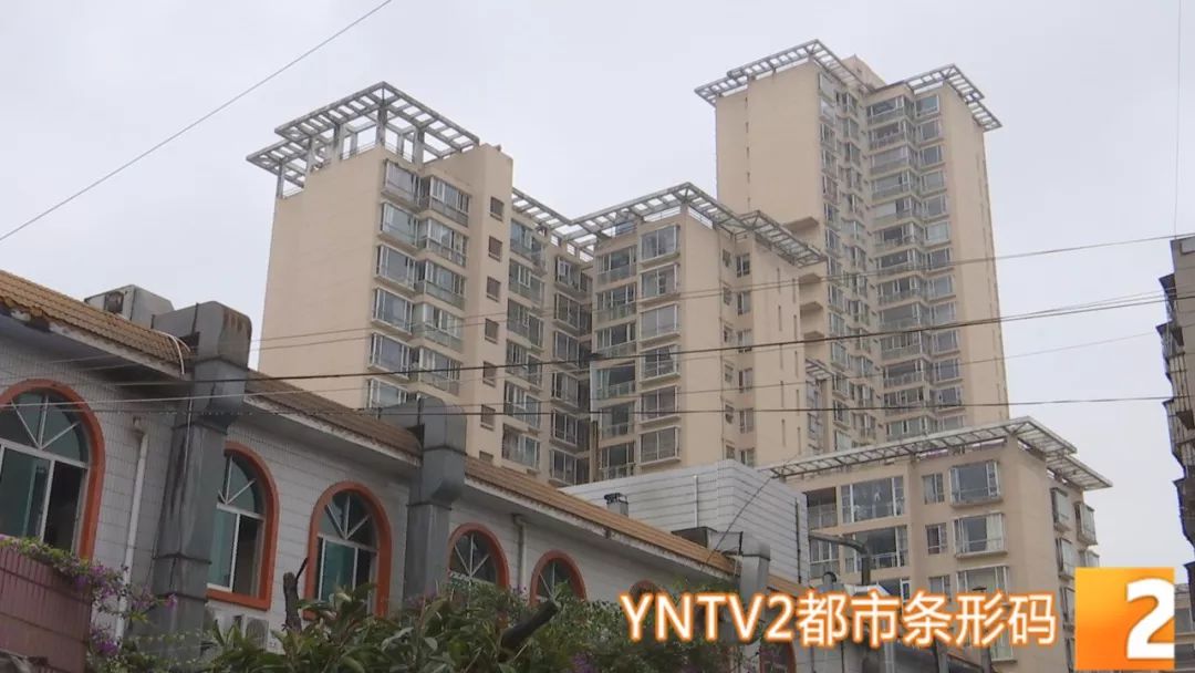 国家对二手房最新政策,国家对二手房最新政策揭秘，小巷中的隐藏宝藏探秘记