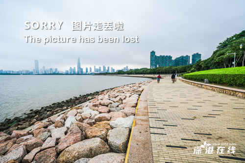 白百合陈羽凡的最新动态，音乐界璀璨星辰的闪耀更新