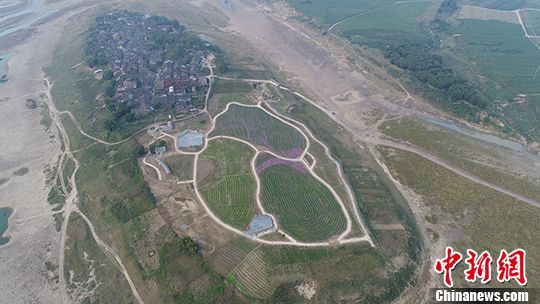 大藤峡水电站最新进展概况概述