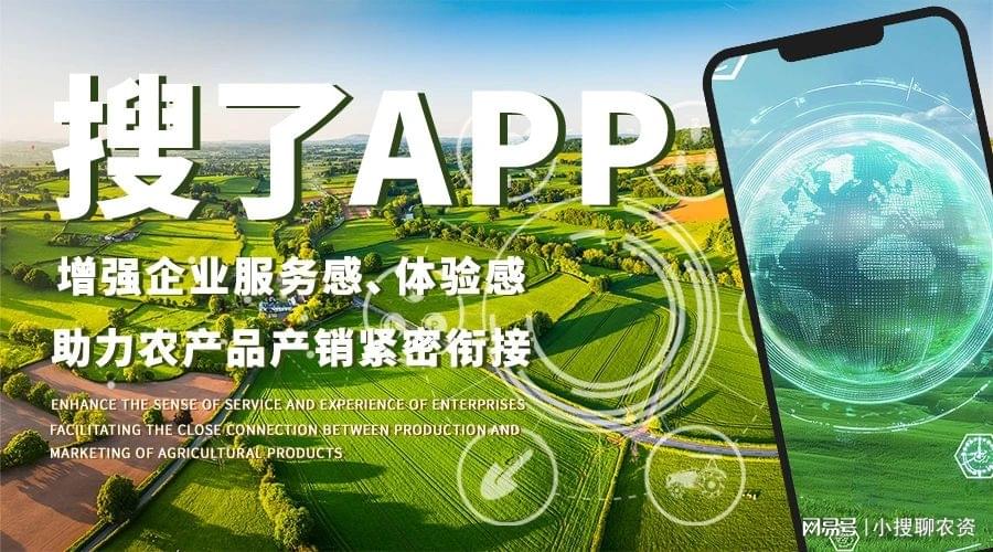 四虎视频最新APP，探寻自然美景，感受内心的宁静与平和