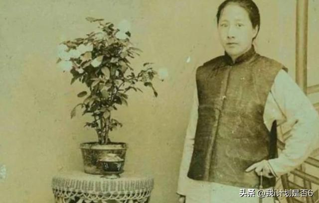 秦烟薄总，时代浪潮下的传奇人物与事件揭秘
