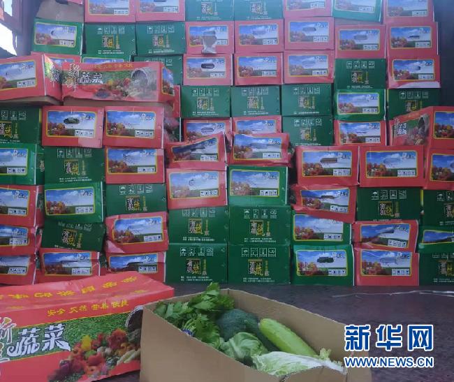 小城抗疫日常，最新疫情今日新增病例与友情力量共筑防线