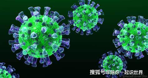 冠状新病毒最新动态与小巷深处的隐秘风景