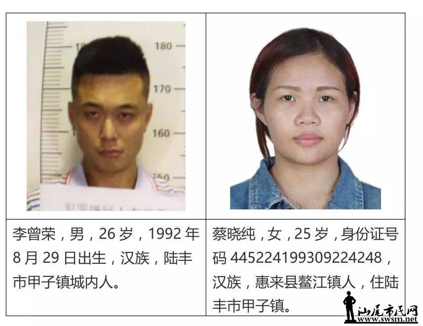 陆丰市最新通缉犯名单及背后故事曝光