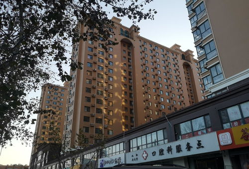 辛集市二手房最新信息及获取详解，市场走势、房源解析与购房指南