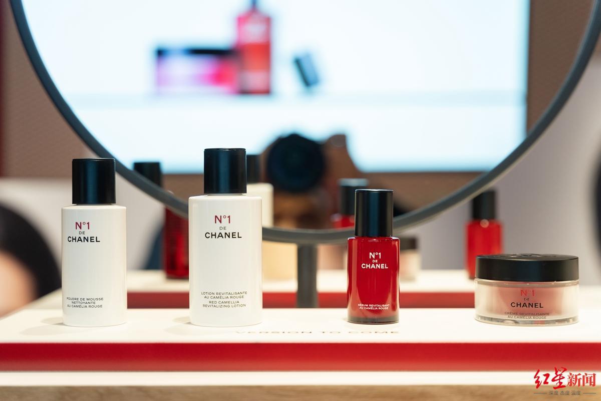 最新舞蹈幼儿园,培育未来舞蹈人才的摇篮