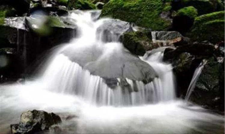 网课最新事件,自然美景的探索之旅开启线上学习新篇章