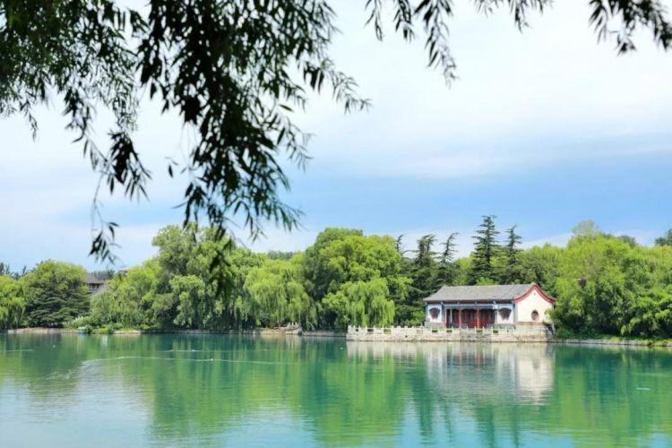 网课最新事件,自然美景的探索之旅开启线上学习新篇章